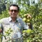 Agrowisata Petik Jeruk di Batang, Pengunjung Bisa Panen Langsung dari Pohonnya