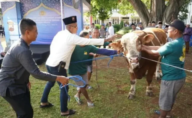Polda Jateng Sembelih 808 Hewan Kurban dan Salurkan ke Ribuan Warga