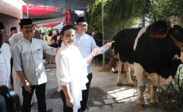 Balaikota Semarang Sembelih 11 Sapi, Wali Kota Serahkan ke Masjid Besar