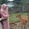 Semarang Zoo Hadirkan Kapibara, Sitatunga, dan Domba Edukasi Sambut Libur Sekolah