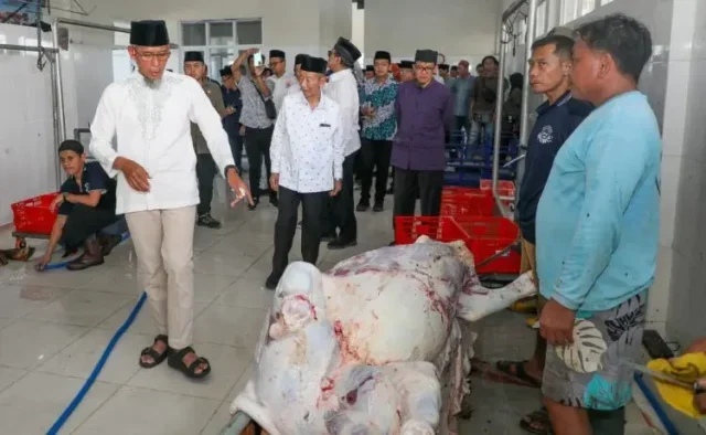 Baznas Jateng Olah 116 Sapi Kurban Jadi Kornet, Target 160 Ribu Kaleng