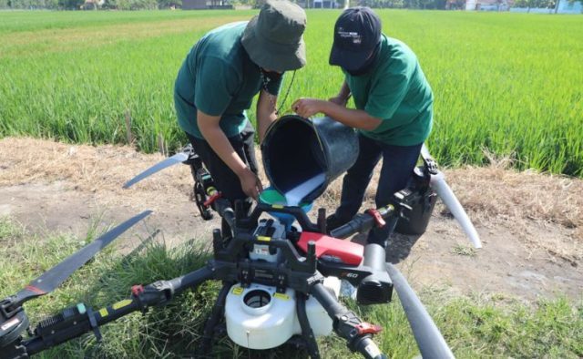 Petani Klaten Kini Gunakan Teknologi Canggih untuk Tingkatkan Hasil Panen