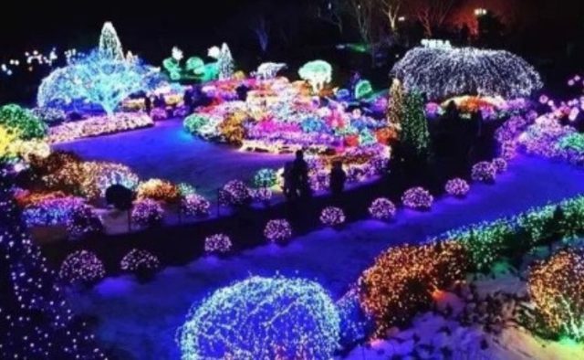Festival Cahaya Lights Wonderland, Magnet Baru Wisata Malam Semarang