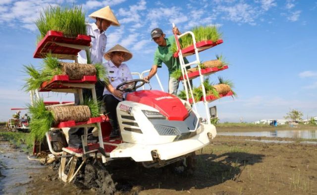 Pemprov Jateng Pulihkan 512 Hektare Sawah Terdampak Banjir di Demak, Produktivitas Padi Kembali Bangkit