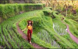 Bali Sun Tours Luncurkan Portofolio Pengalaman 2025 dan Pemesanan Langsung