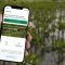 LindungiHutan Rilis Tampilan Baru Web Mobile: Menjawab Tren Digitalisasi Keberlanjutan