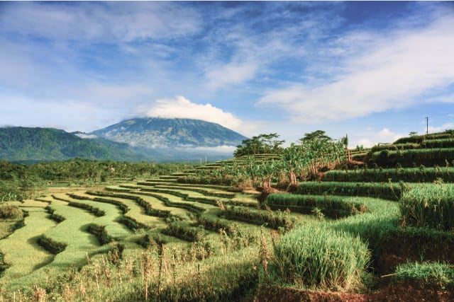 6 Tempat Wisata di Magelang