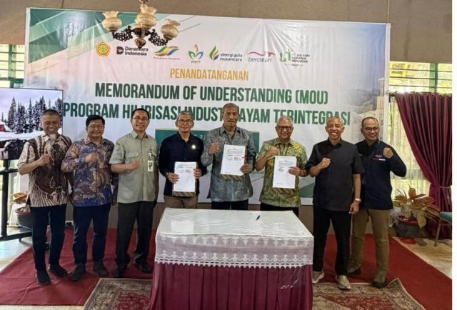 Holding Perkebunan Nusantara Akselerasi Ketahanan Pangan, PTPN I Bangun Ekosistem Terintegrasi di Bone