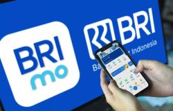 Satu Aplikasi untuk Semua Kebutuhan, BRImo Permudah Transaksi Nasabah