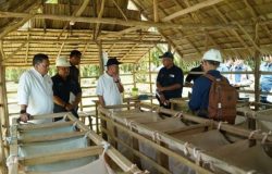 Perkuat Strategi Peningkatan Produksi dan Pengamanan Aset, Operational Strategic Advisory PTPN III (Persero) Kunjungi PTPN IV Regional VII