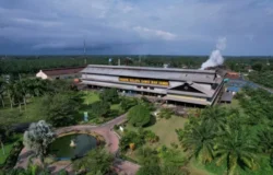 Melalui PalmCo, Holding Perkebunan Nusantara Perluas Akses Digital bagi Sekolah di Pelosok