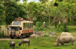 Taman Safari Indonesia Siap Dukung Transformasi Kebun Binatang Bandung sebagai Lembaga Konservasi Modern