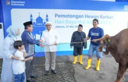 BRI Group Distribusikan Lebih dari 5000 Hewan Kurban di Indonesia